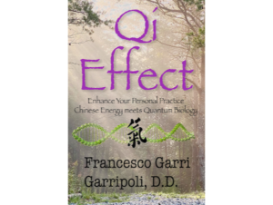 Qi Effect book
